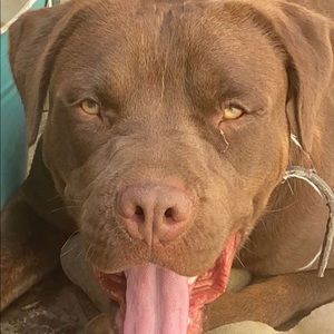 Meet your Posher, Rayven